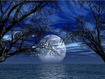Dimanta izšuvumi Nakts ainava mēness krāsošana DIY 5D Dimanta glezna Krustdūrienā mazayka diamond room rotājumi mājās