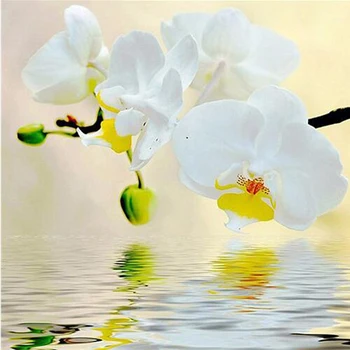 5D DIY Dimanta Krāsošana Baltā Orhideja, Ziedi Izšuvumi Krustdūrienā Rhinestone Mozaīkas Krāsošana sienas uzlīmes, Kāzu Dekorēšana