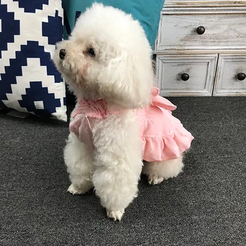 Vasaras pet apģērbs suņu svārki modes gudrs bowknot veste zeķturi mazs suns lācīti schnauzer princese kleita
