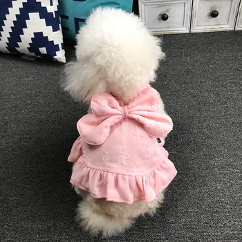 Vasaras pet apģērbs suņu svārki modes gudrs bowknot veste zeķturi mazs suns lācīti schnauzer princese kleita