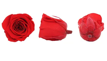 4-5CM/8pcs A Kategorijas Konservēti Erernal rožu ziedu galvas,Skaistums Un Zvērs, uz visiem Laikiem Rožu dāvanu kastē Kāzu mājas Apdare