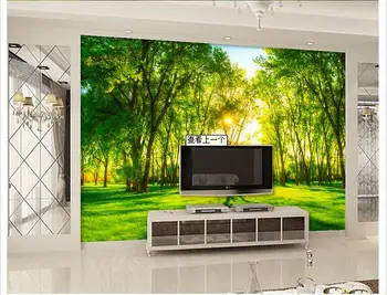 Pasūtījuma 3d tapetes neaustu sēdes istabu, 3 d TV iestatījumu sienas zaļā meža ainava tapetes