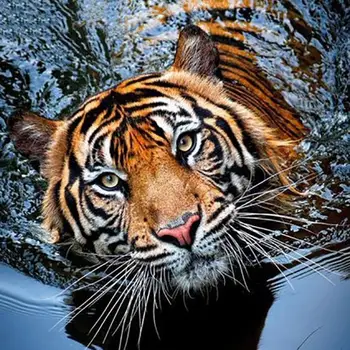 Izšuvumus, Rokdarbus, 5d Dimanta Krāsošana Rokdarbi Diy Dimanta Krāsošana Komplekti Pieaugušajiem Tiger Dzīvnieku Sienas Arts Dekors