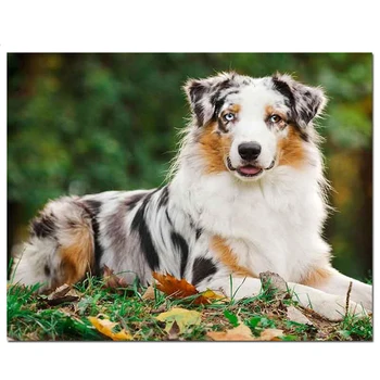 Austrālijas Aitu suns Dimanta Krāsošana dzīvnieku IQ numur viens suns Diy 5D Dimanta Izšuvumi Pilnu Kvadrātveida Apli Urbt StickerZP-2855