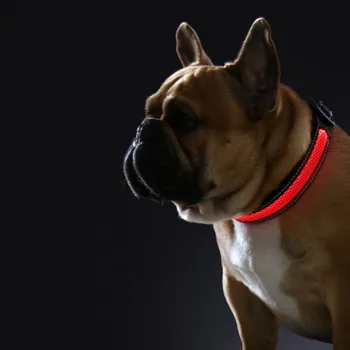 LED kaklasiksna Gaismas USB Lādējamu Saules Uzlādes Neilona Pet Suns Apkakles Gaismas Led Gaismas Nakts Drošību Kvēlojošs kaklasiksna
