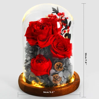 Skaistums Un Zvērs Nemirstīgs Ziedu Ar Rožu Stikla Iekšpusē Kāzu Dekorēšana Konservēti Ziedu,Ziemassvētku Mātes Dzimšanas Dienas Dāvana
