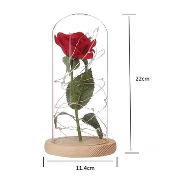 Karsta Skaistums Un Zvērs, Sarkans Rožu Ziedu Stikla Kupola Koka Bāze Rotā Valentīna Dienas Dāvanas Ziemassvētkiem LED Rose Lampas