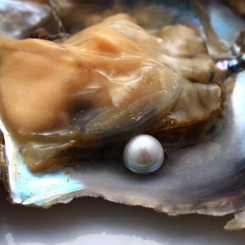 Jūras Pērļu Austere, 4 GAB Mīlestība Vēlas Sālsūdens Akoya Pērļu Austeres 6-7mm Pērļu Iekšā Rotaslietas Pieņemšanas vai Dzimšanas dienas Dāvanas