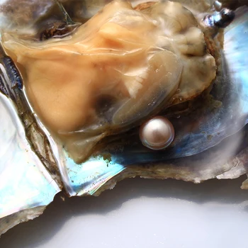 Jūras Pērļu Austere, 4 GAB Mīlestība Vēlas Sālsūdens Akoya Pērļu Austeres 6-7mm Pērļu Iekšā Rotaslietas Pieņemšanas vai Dzimšanas dienas Dāvanas