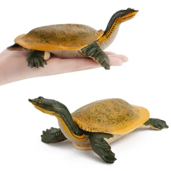Imitētu Saldūdens Bruņurupuču Dzīvnieku Modelis Attēlā Lelle Bērnu Rotaļlietu Bruņurupucis Brazīlijas Izglītības Rotājumi