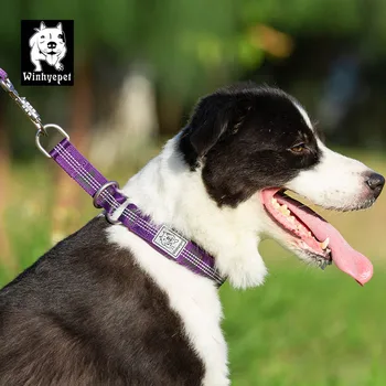 Truelove Pet Suns Aizrīties Apkakles Mīkstās Spēcīgu Purple Mājdzīvnieki, Suņu Apmācību Slīdēšanas Apmales Sānslīdi Kaklasaite Maziem Lieliem Suņiem Pitbull Mopsis Buldogs