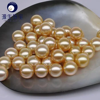[YS] AA 10-11mm Dabas Dienvidu Jūras Kultivētas Zelta Zaudēt Pērles