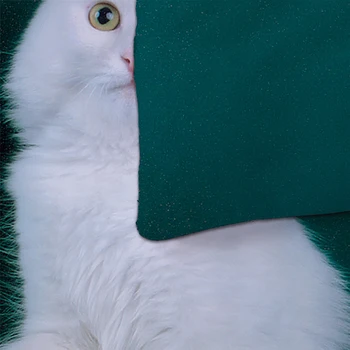 Balts Kaķis Gultas Komplekts Gudrs 3D Dzīvnieku Sega sedz Dvīņu Pilna Queen, King Size gultas veļa, Mājas Tekstila dropshipping