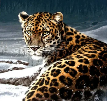 5D Dimanta Krāsošana Panther Mājas Apdare Pilnu Kvadrātveida/kārtas Urbt Cross Stitch Komplekts Vareno Dzīvnieku Leopard