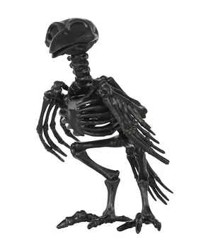 Fantāzija Kaula Skelets Vārna, Krauklis Dzīvnieku Skeletu Kauli Šausmu Halloween Dekorēšanai