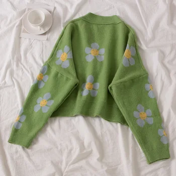Korejas džemperis Īsā jaka 