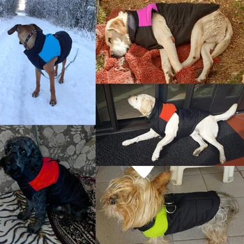 Ūdensizturīgs Pet Suns, Kucēns, Veste, Jaka Chihuahua Apģērbu, Siltu Ziemas Suņu Apģērbu Mētelis Par Mazo Vidēji Lieli Suņi, 4 Krāsas, S-5XL