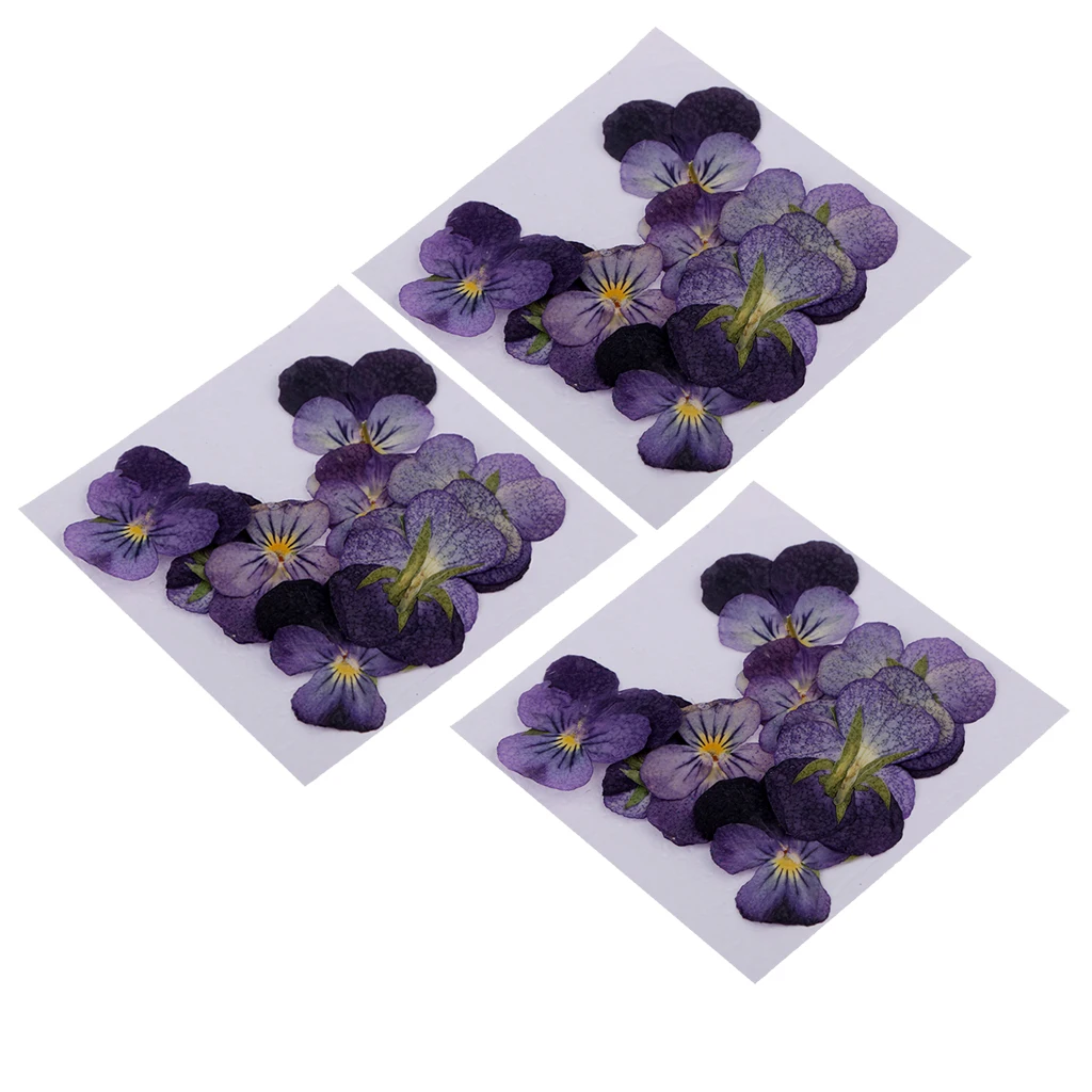 36 Gabali Nekustamā Violets Ziedu Žāvētu Ziedu Embellishments par DIY Tālrunis Lietā Nail Art Apdare
