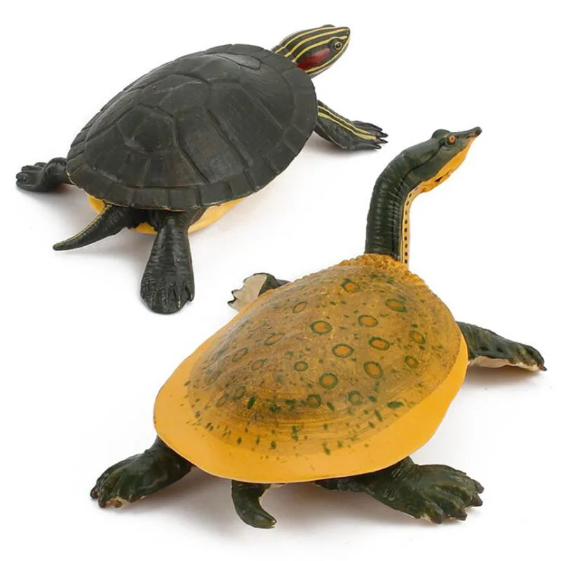 Imitētu Saldūdens Bruņurupuču Dzīvnieku Modelis Attēlā Lelle Bērnu Rotaļlietu Bruņurupucis Brazīlijas Izglītības Rotājumi
