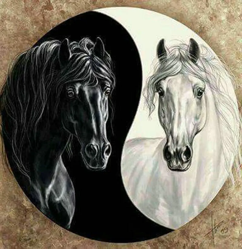Pilnu kvadrātveida & kārta diy dimanta krāsošana melns zirgs, balts zirgs Tai Chi ikona 3D dimanta izšuvumi mozaīkas diamond cross stitch