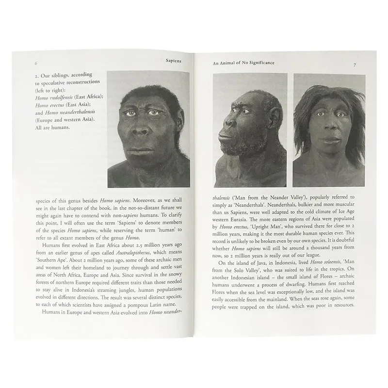 Sapiens Īsa Vēsture Cilvēces Yuval Noa Harari Grāmatas angļu valodā Antropoloģijas Vēstures Grāmatas Ārpusklases Lasīšanas Grāmata
