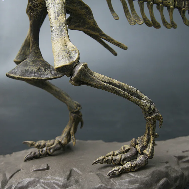 Tyrannosaurus Rex Dinozaura Skelets PVC T Rex Dzīvnieku Modelis Rotaļlietas Kolektora Super Apdare