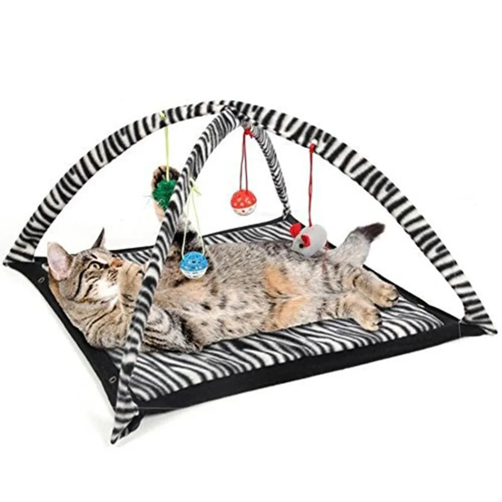 Funny Kaķis Spēlēt Telts Ar Piekārtiem Bumbu Rotaļlietas, Bumbas, Kaķis Gultā, Telts Kaķēns Mat Īstenot Aktivitātes, Spēlējot Segu Portatīvo Pet Piegādēm