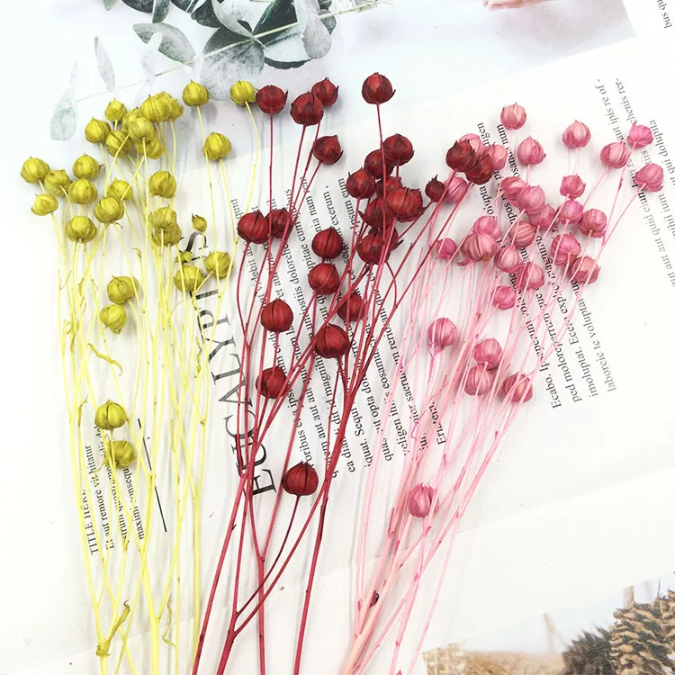 Yongsheng Ziedu Materiālu DIY ar sausu Zāli puķēm Bagātu Pupiņas Akācijas Pupas 2G Pakete Yongsheng Ziedu Stikla Vāciņu, Dāvanu Kastē