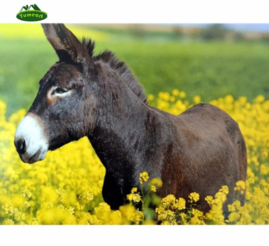 Amatniecības Dzīvnieku Donkey Dimanta Krāsošana 5d Dimanta Izšuvumi Rhinestone DIY Rokdarbi Cross Stitch Mājas Dekoru Jauki Dzīvnieki