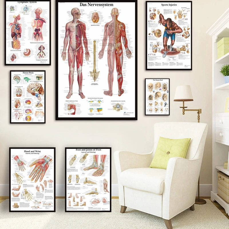 Cilvēka Anatomija Muskuļu Sistēma, Mākslas Audekls Plakāti un Drukas Ķermeņa Karte Audekla Sienas, Attēlus Zinātne, Medicīna Guļamistaba Dekori
