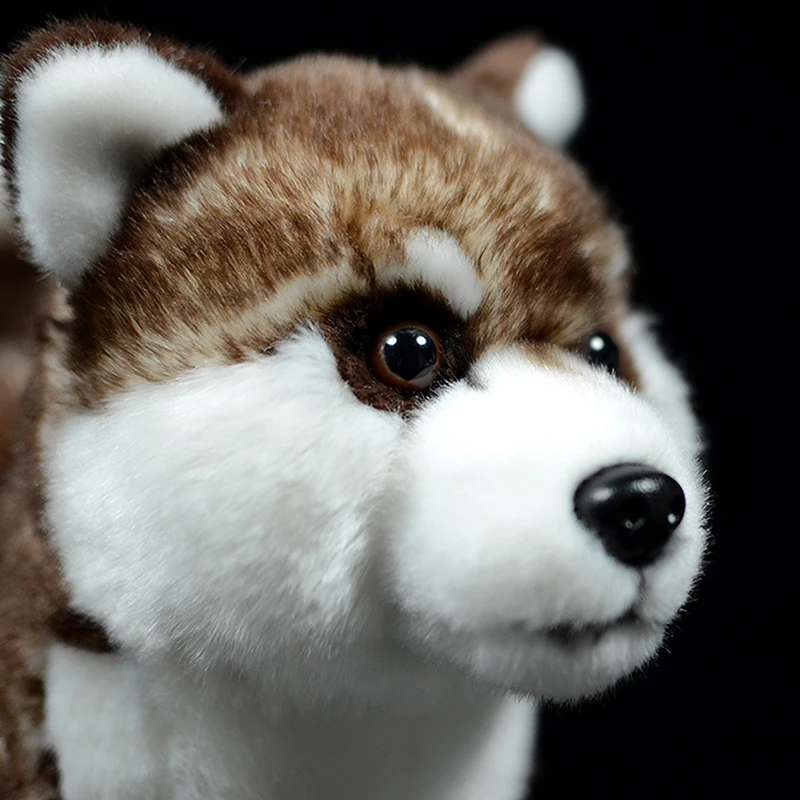 Simulācijas Suņu Lelle Gudrs Brūna Sibīrijas Husky Mīksto Reālajā Dzīvē Canis lupus familiaris Pildījumu Dzīvnieku Plīša Rotaļlieta Modelis Bērniem Dāvanu
