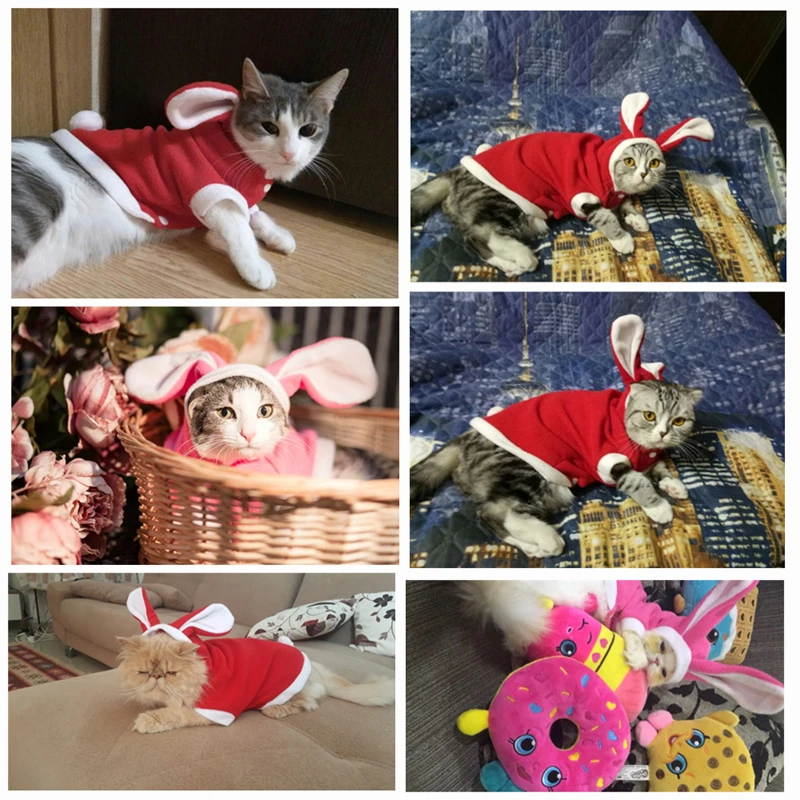 Ziemas Kaķu Apģērbu Kaķiem Pet Ziemassvētku Kostīms Suņu Apģērbu Gudrs Trušu Mēteli, Siltu Apģērbu Smieklīgi Puse Apģērbu 11cY40S2