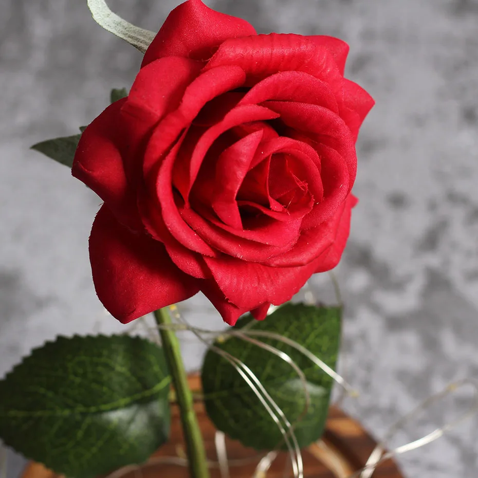 Enchanted Rožu dabiska Lieluma No Skaistums Un Zvērs, Valentīna Diena, Ziemassvētki Halloween Kāzu Gadadiena Priekšlikumu Balli Dāvanu
