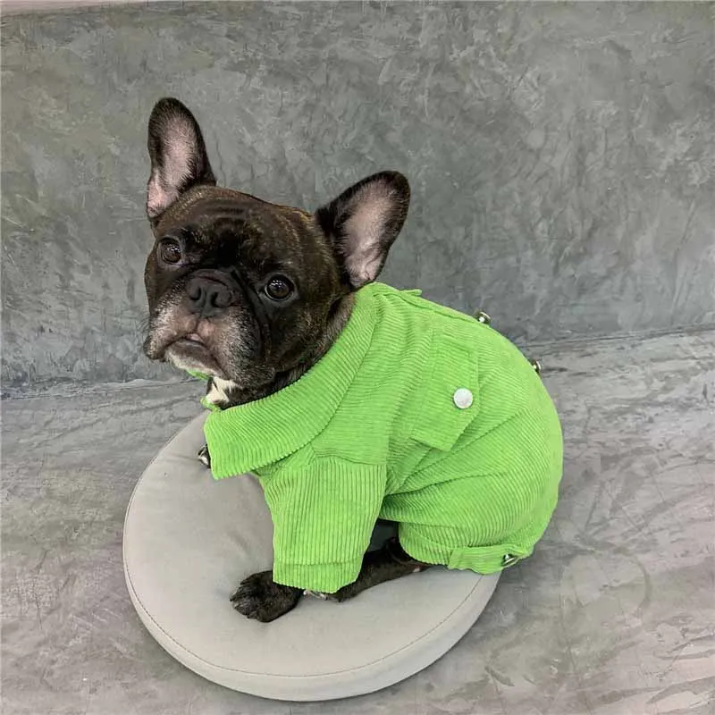 Jauna rudens un ziemas pet suņu apģērbu velveta jaka jaka franču buldogs Schnauzer Corgi Teddy apģērbu mazo suņu apģērbu