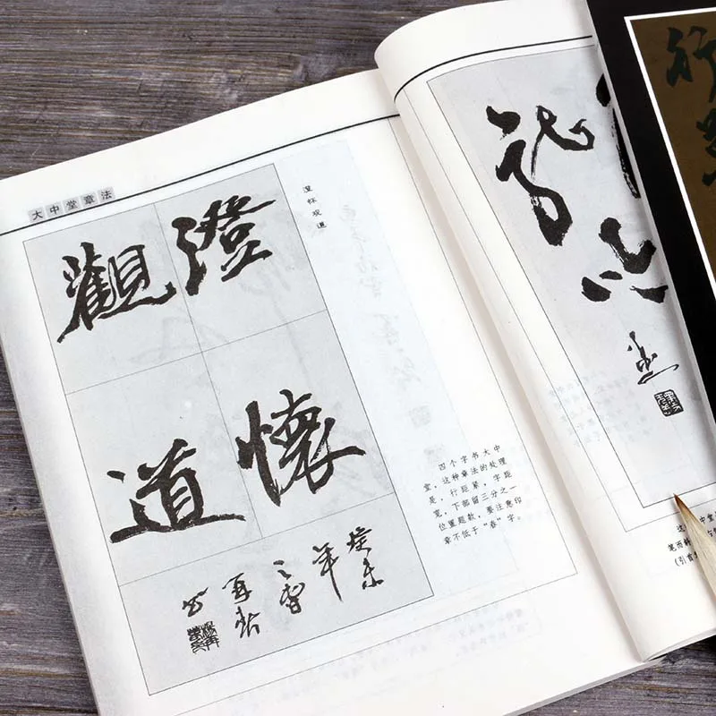 Tang Dzeju Dziesmu Ci Komentāru Darbojas Skriptu Cursivescript Copybook Pieaugušo Rakstot Otu, Pildspalvu, Ķīniešu Kaligrāfija Prakses Copybook
