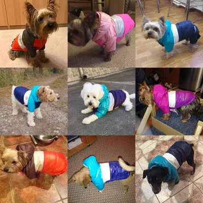 Ziemas drēbes suņiem, maziem suņiem, apģērbu, siltu dūnu jaka Jaka PU ādas hoodies par chihuahua maziem un vidējiem suņiem