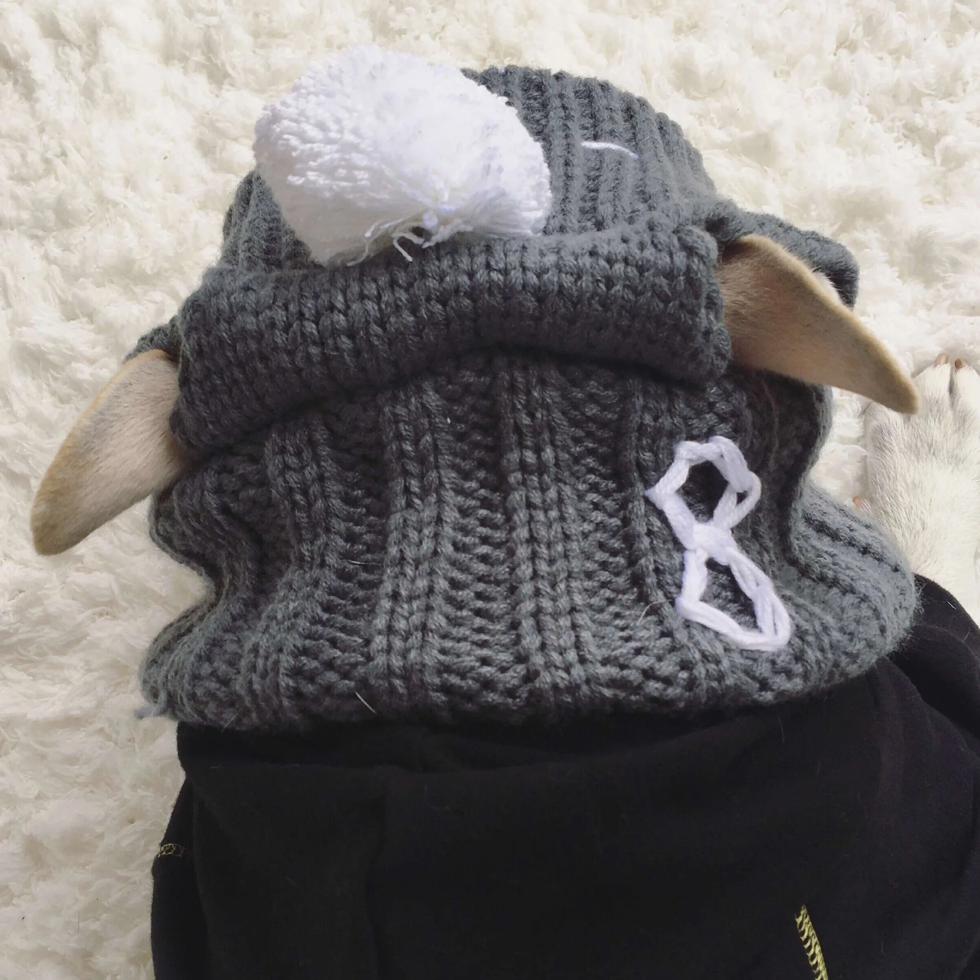 Agrā pavasarī, jaunie suņu piederumi korejas ārējās tirdzniecības zīmola suns cepuru modes personības silts kaujas suns cepure