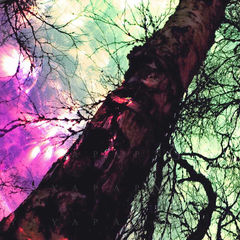 Psyched meža gobelēns Sienas Karājas mēness gaismas lauku mājas dekori 3d goblen ainavu sienas mākslas Poliestera liela meža gobelēns