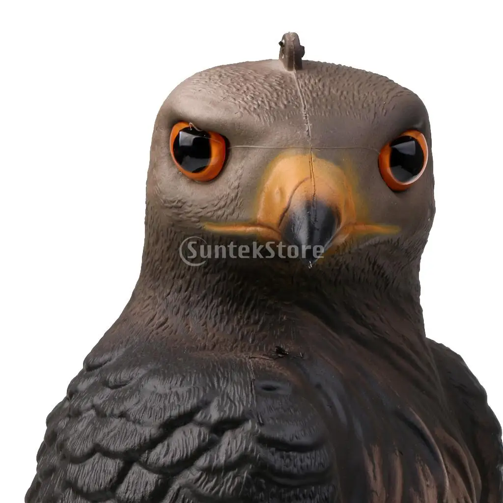 3D Spilgti Reāli Eagle Hawk Medību Šaušanas Mānekļi Kaitēkļu Kontroles Putnu, Baložu Vārna Scarer Scarecrow Dārza Dekoru, Rotājumu