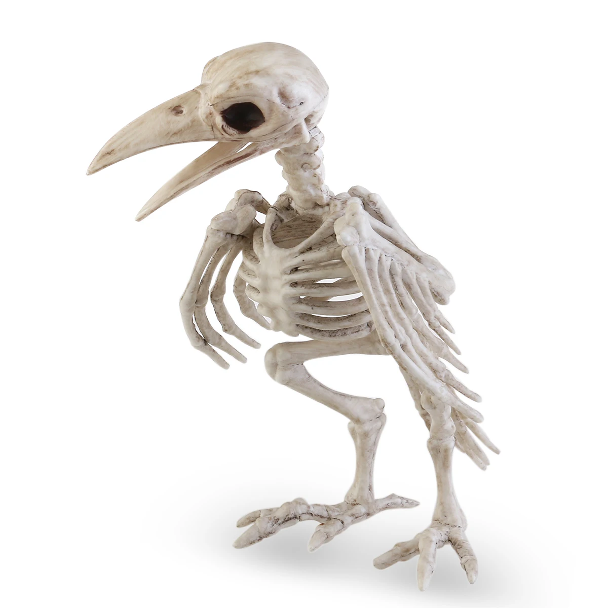 Crazy Halloween Kaula Skelets Raven Plastmasas Dzīvnieku Skeletu Kauli Šausmu Halloween Prop Putnu Vārna Skelets Apdare